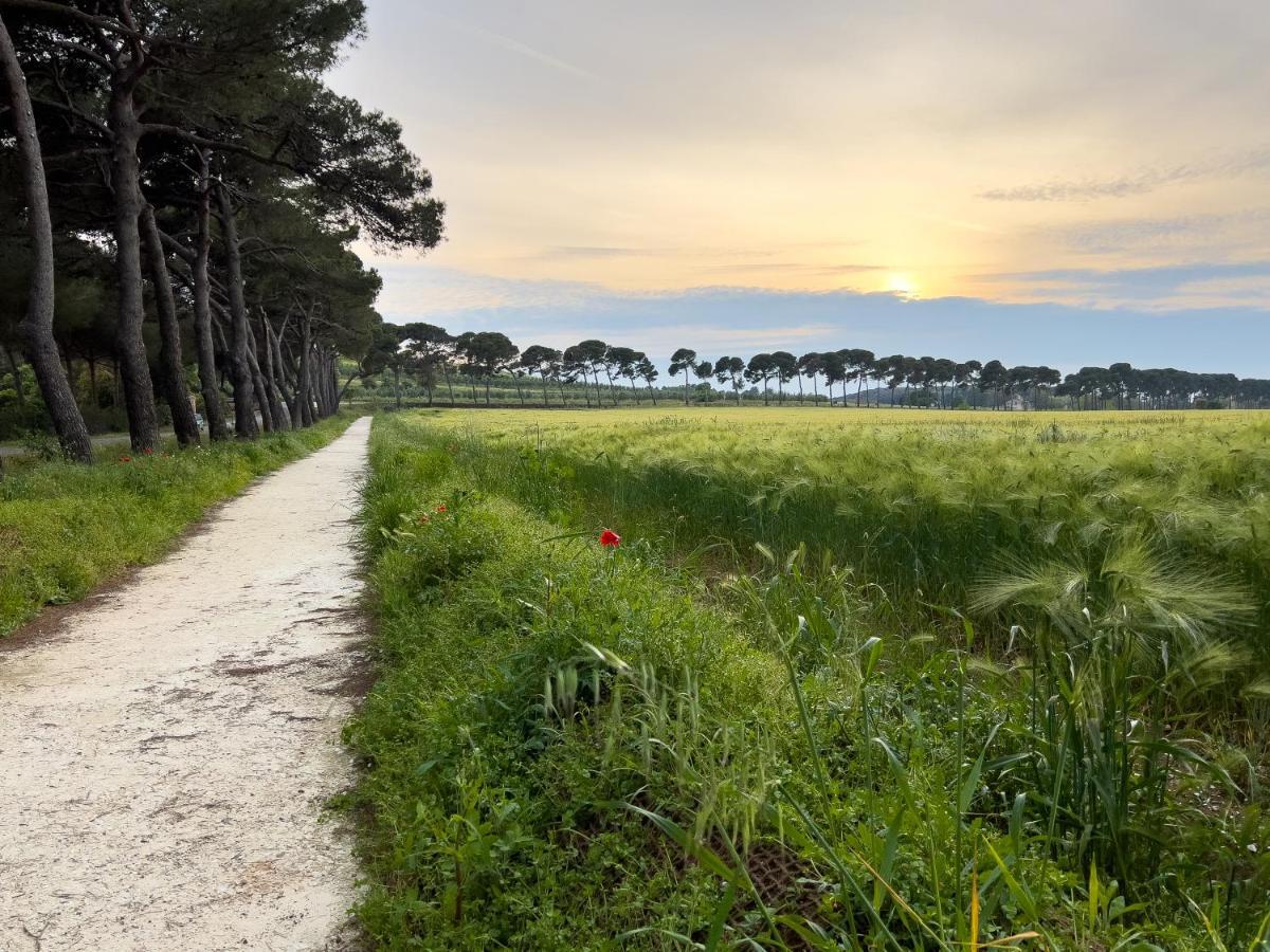 Appartamento Casa Al Mare Con Giardino 
